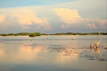 El Palmar State Reserve
