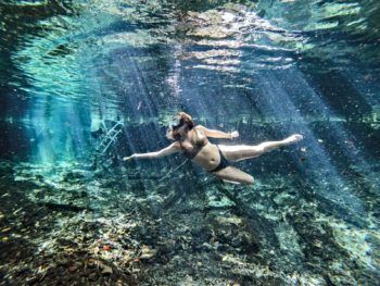 Snorkel through the Mangroves