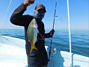Recreational and Artisanal Fishing