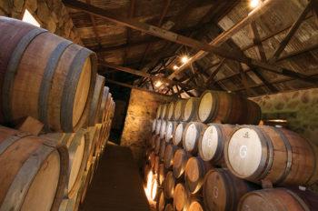 Disfruta los vinos de Casa de Piedra