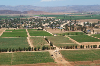 Valle de Ojos Negros