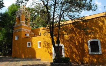 Explore Coyoacán Neighborhood