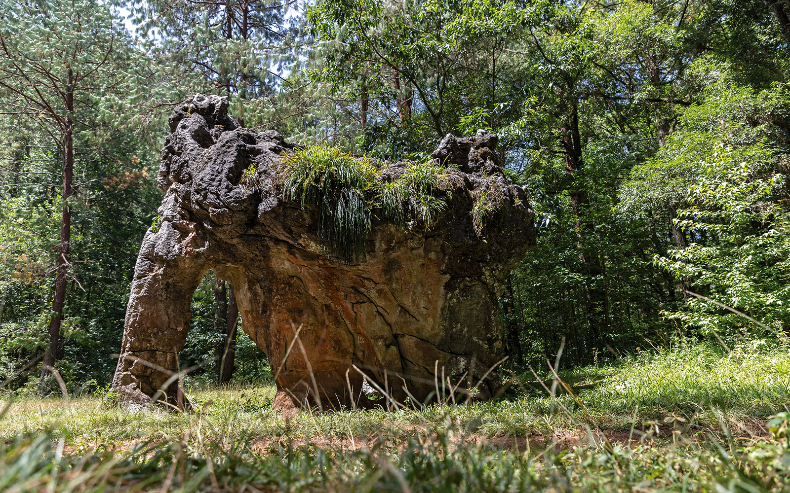 Biosfera El Cielo