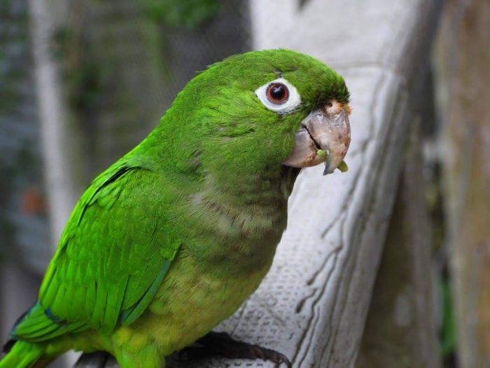 Centro Interpretativo Ecológico