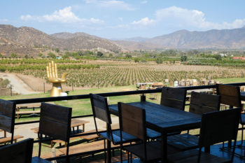 Consiéntete en Decantos Vinícola