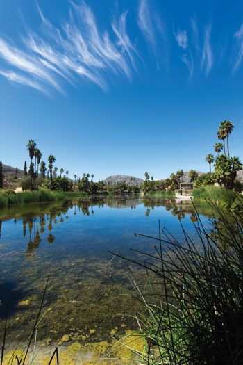 Vinícola Las Estrellas