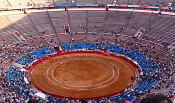 Asiste a la fiesta brava en la Plaza de Toros México