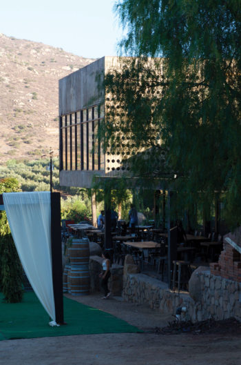 Pasa un día en la Viña de Frannes