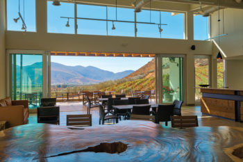 Visita los Viñedos de la Reina