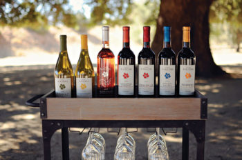 Degusta los vinos de Casa Magoni