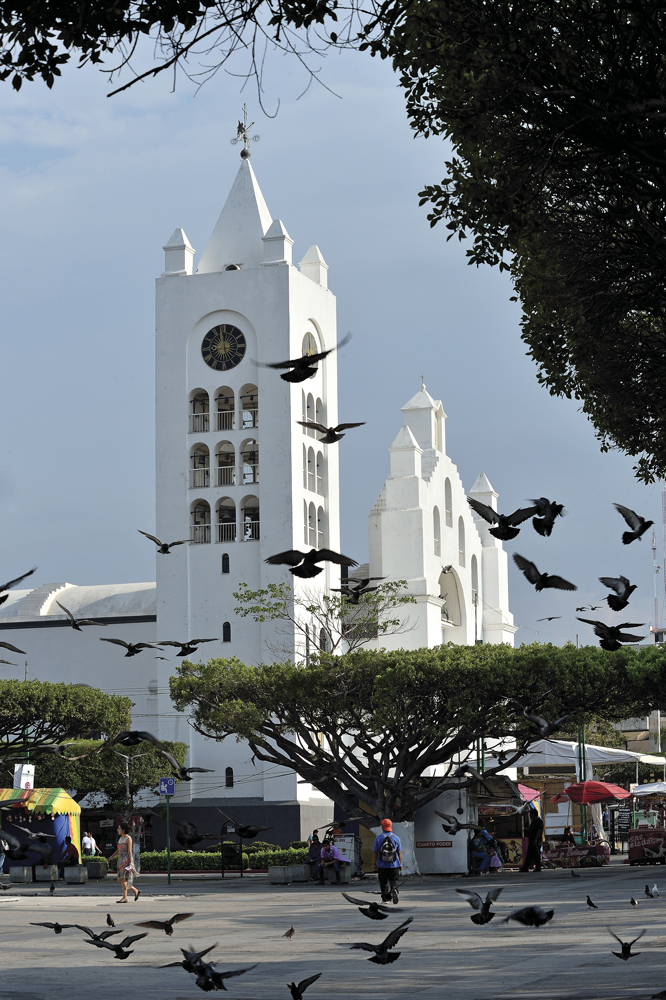 Catedral Metropolitana de San Marcos