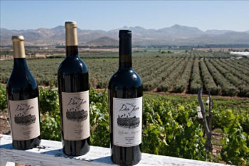 Don Juan Winery