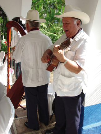 Tlacotalpan-jaraneros y decimistas