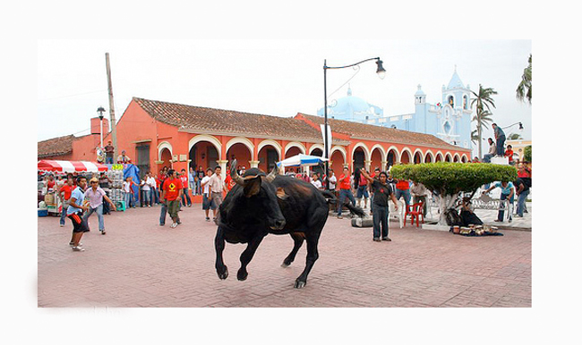 fiesta de la candelaria-tlacotalpan-toros