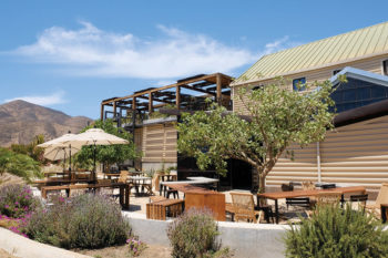 Prueba los vinos orgánicos de Finca La Carrodilla