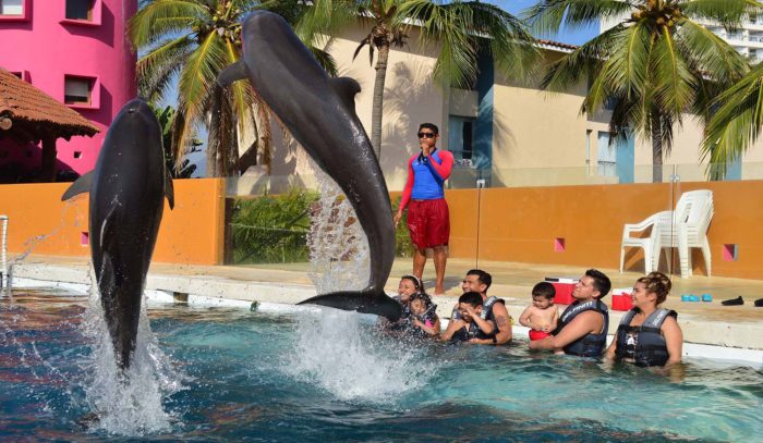 Delfiniti de Mexico