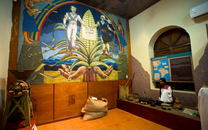 Museo del Café
