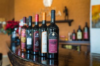 Descubre la Viña de Liceaga