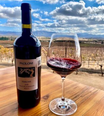 Feel Close to Tuscany at Villa Montefiori