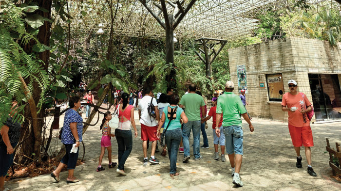 Zoológico Miguel Álvarez del Toro (ZooMat)