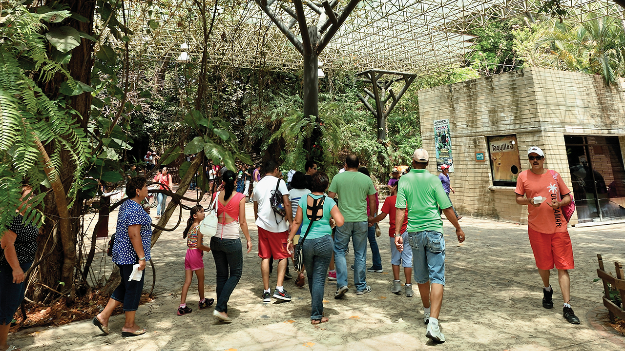 Zoológico Miguel Álvarez del Toro (ZooMat)