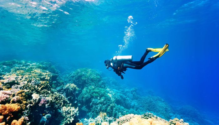 Cozumel Tours Excursions-Cozumel-QRoo-Buceo-Snorkel