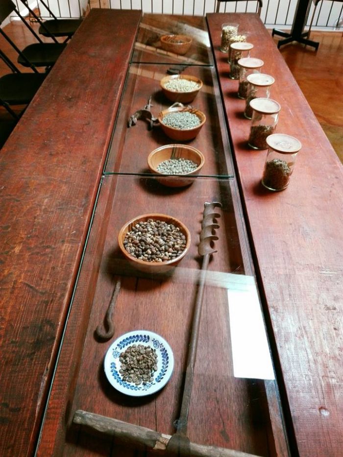 Tours-Armando Lobato-Xalapa-Veracruz-degustacion cafetera