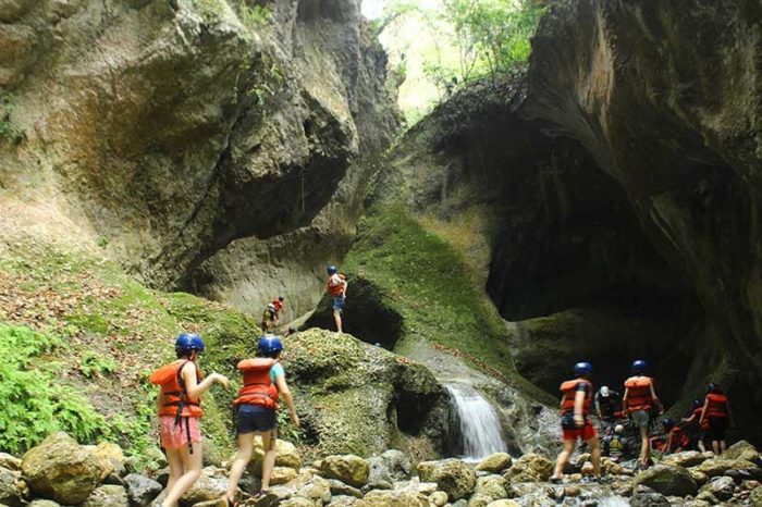 Tours-Armando Lobato-Xalapa-Veracruz-ecoturismo