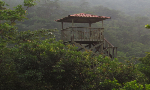 Reserva-de-la-biosfera-Los-Tuxtlas-Veracruz_mirador